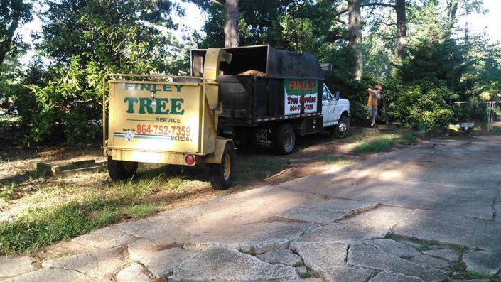 Simpsonville Tree Service