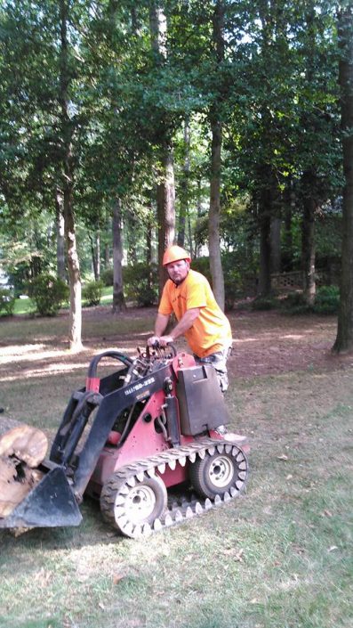 Tree Care and Maintenance Simpsonville SC